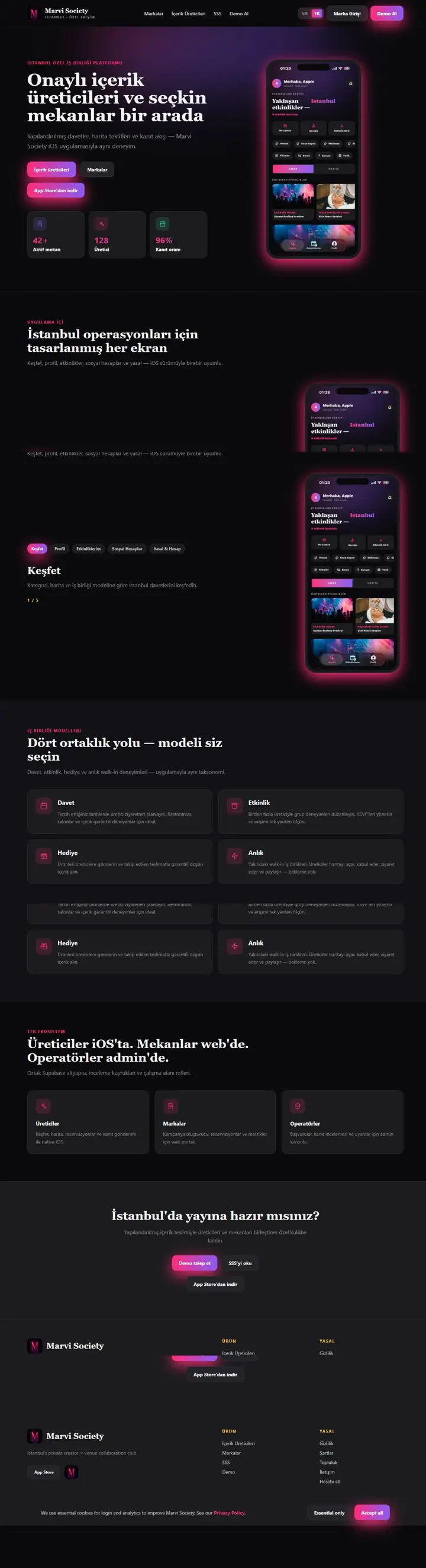 Website-Vorschau: Marvi Society